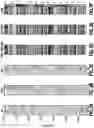 Fig. 04 - AUTOMATED FACIES CLASSIFICATION FROM WELL LOGS