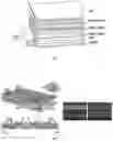 Fig. 02 - Light emitting sheet including a cavity with protruding pattern and light unit including the same