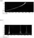 Fig. 04 - Functionalized waveguide for a detector system