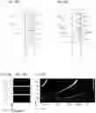Fig. 13 - Functionalized waveguide for a detector system