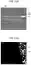 Fig. 12 - Microscope system, focus adjustment program, and focus adjustment system
