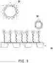 Fig. 05 - Observation carrier for microscope and method of using the same