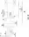 Fig. 06 - Determining an erroneous movement of a microscope