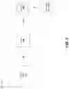 Fig. 11 - Determining an erroneous movement of a microscope
