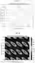 Fig. 07 - Pellicle for extreme ultraviolet lithography