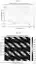 Fig. 09 - Pellicle for extreme ultraviolet lithography