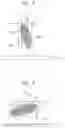 Fig. 04 - Charging roller, process cartridge, and electrophotographic image forming apparatus