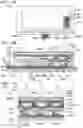 Fig. 12 - Display device