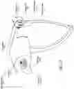 Fig. 10 - User interface interaction paradigms for eyewear device with limited field of view