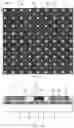 Fig. 03 - Display substrate, preparation method thereof, and display apparatus