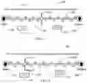 Fig. 06 - Interactive behavioral polling for amplified group intelligence