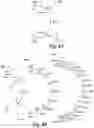 Fig. 10 - Bit string lookup data structure
