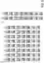 Fig. 07 - Flit-based parallel-forward error correction and parity