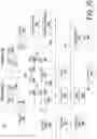 Fig. 21 - Flit-based parallel-forward error correction and parity