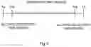Fig. 04 - BIOLOGICAL INFORMATION MEASUREMENT SYSTEM, FRAUD MEASUREMENT DETERMINATION METHOD, FRAUD MEASUREMENT DETERMINATION PROGRAM, AND NON-TRANSITORY COMPUTER-READABLE RECORDING MEDIUM