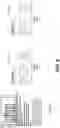 Fig. 07 - Detecting online contextual evolution of linguistic terms