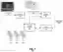 Fig. 08 - Real time kinematic analyses of body motion