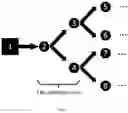 Fig. 06 - Method for tracing pollution at drainage outlet of culvert