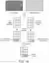 Fig. 12 - IMAGE STITCHING APPARATUS, IMAGE PROCESSING CHIP AND IMAGE STITCHING METHOD