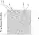 Fig. 08 - Artificial intelligence-based determination of analyte data for base calling