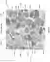 Fig. 09 - Artificial intelligence-based determination of analyte data for base calling
