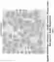 Fig. 11 - Artificial intelligence-based determination of analyte data for base calling