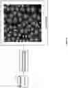 Fig. 14 - Artificial intelligence-based determination of analyte data for base calling