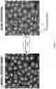 Fig. 40 - Artificial intelligence-based determination of analyte data for base calling