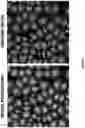 Fig. 41 - Artificial intelligence-based determination of analyte data for base calling