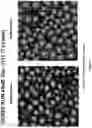 Fig. 46 - Artificial intelligence-based determination of analyte data for base calling