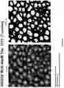 Fig. 48 - Artificial intelligence-based determination of analyte data for base calling