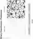 Fig. 56 - Artificial intelligence-based determination of analyte data for base calling