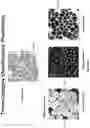 Fig. 68 - Artificial intelligence-based determination of analyte data for base calling