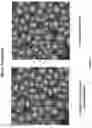 Fig. 80 - Artificial intelligence-based determination of analyte data for base calling