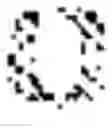 Fig. 05 - Face recognition from unseen domains via learning of semantic features