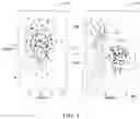Fig. 05 - Method and system for training image classification model