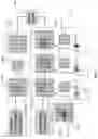 Fig. 22 - Event-based extraction of features in a convolutional spiking neural network