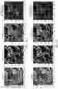 Fig. 30 - Accelerated Learning In Neural Networks Incorporating Quantum Unitary Noise And Quantum Stochastic Rounding Using Silicon Based Quantum Dot Arrays