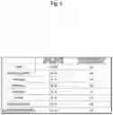Fig. 06 - Using shape information and loss functions for predictive modelling