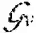 Fig. 02 - SELF-SUPERVISED VISUAL-RELATIONSHIP PROBING