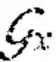 Fig. 03 - SELF-SUPERVISED VISUAL-RELATIONSHIP PROBING