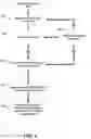 Fig. 07 - Systems and methods for updating maps based on telematics data