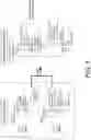 Fig. 06 - SKILL DATA MANAGEMENT