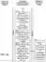 Fig. 12 - PAYMENT TRANSACTION PROCESSING SYSTEM FOR REDUCING INTERCHANGE COSTS