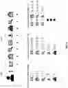 Fig. 09 - Determining patterns within a string sequence of user actions