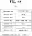Fig. 09 - Electronic apparatus for providing advertisement through voice assistant and control method thereof