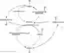 Fig. 01 - ADAPTIVE COLLABORATIVE MATCHING