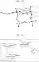Fig. 11 - CRACK EVALUATION APPARATUS, CRACK EVALUATION METHOD, AND CRACK EVALUATION PROGRAM