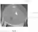 Fig. 18 - System and method for extracting and measuring shapes of objects having curved surfaces with a vision system