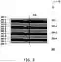 Fig. 04 - Image analysis method and image analysis system
